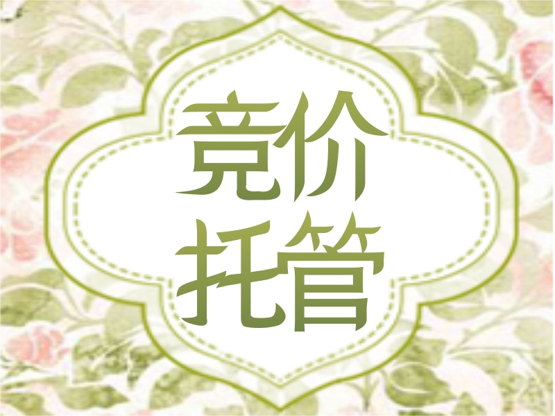 竞价托管 竞价账户托管 竞价推广托管 竞价托管费用