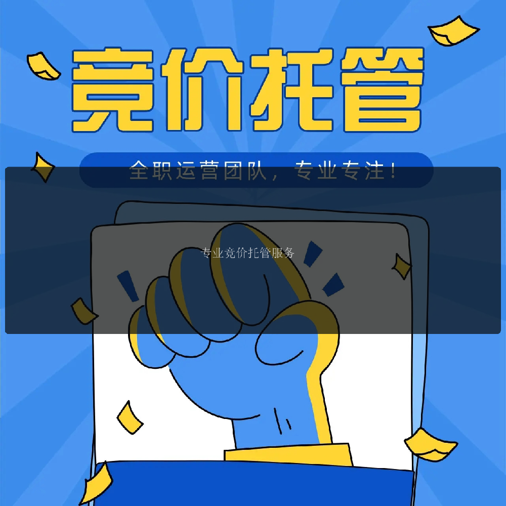 专业竞价托管服务