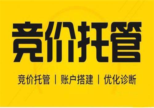 竞价托管SEM 优化运营团队 效果提升 各大搜索引擎推广平台 快速启动